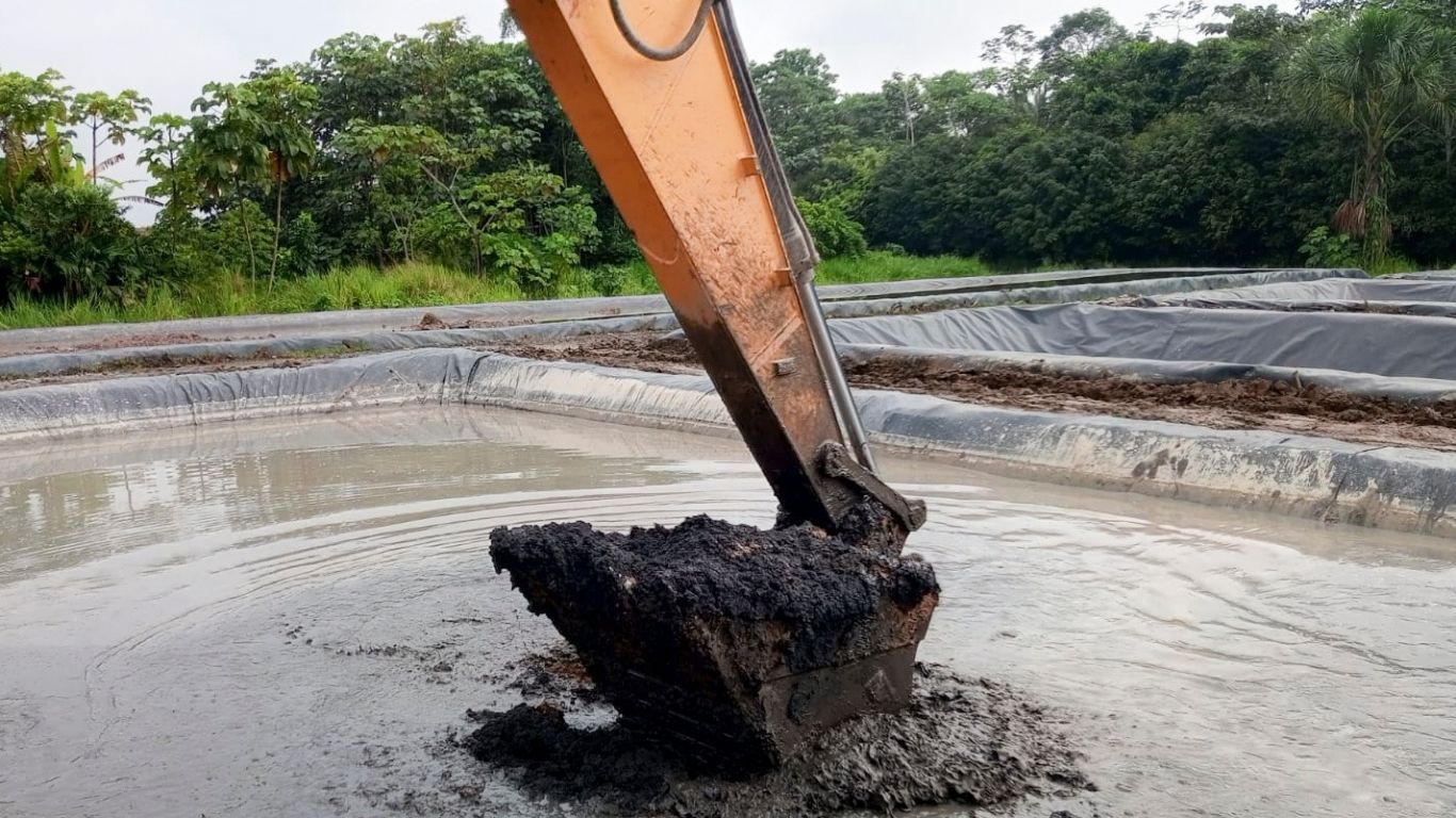 consultoria ambiental